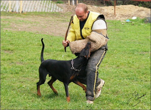 Training in Prague 10/2007